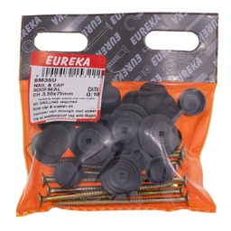 6M35 - Roof Nail & Cap